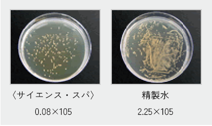 黄色ブドウ球菌の殺菌実験結果